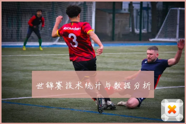 世锦赛技术统计与数据分析