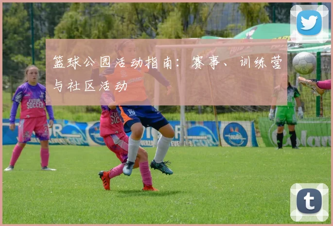 篮球公园活动指南：赛事、训练营与社区活动